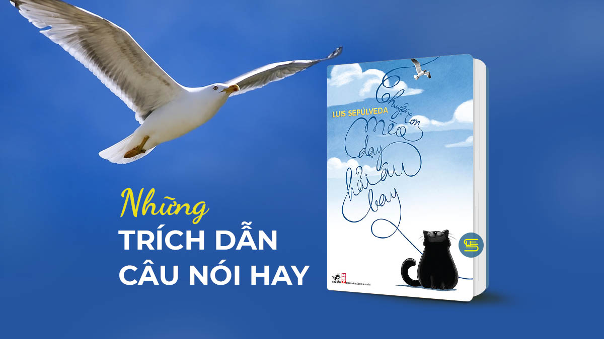 Những Trích Dẫn Sách Hay Chuyện Con Mèo Dạy Hải Âu Bay