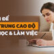 Cách để tập trung cao độ khi học và làm việc